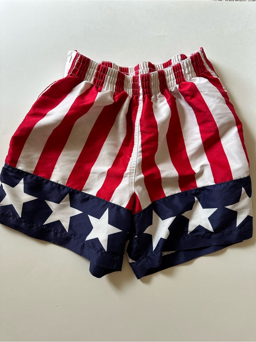 Chubbies American Flag Bald Eagle Smuggler Tear Away Swim Trunk Set - Picture 3 of 13